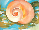Pink Shell with Seaweed c1937 - Georgia O'Keeffe