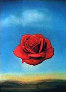 The Rose - Salvador Dali