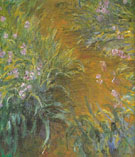 The Path Through the Irises 1916 - Claude Monet