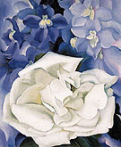 White Rose with Larkspur No 1 1927 - Georgia O'Keeffe