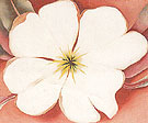 White Flower on Red Earth 2 1943 - Georgia O'Keeffe