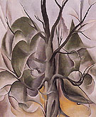 Grey Tree Lake George 1925 - Georgia O'Keeffe