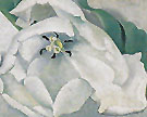 White Flower 1932 - Georgia O'Keeffe
