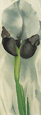 Dark Iris No 1 1927 - Georgia O'Keeffe