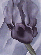 Black Iris The Dark Iris No 1 1926 - Georgia O'Keeffe