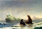 Seals - Albert Bierstadt