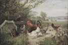 Rooster And Chickens In A Field - Julius Scheurer